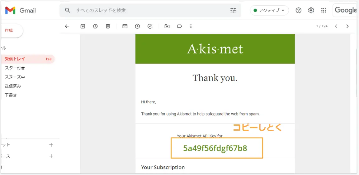 Akismet Anti-Spam設定｜メールで届いた「Akismet API Key」をコピーする